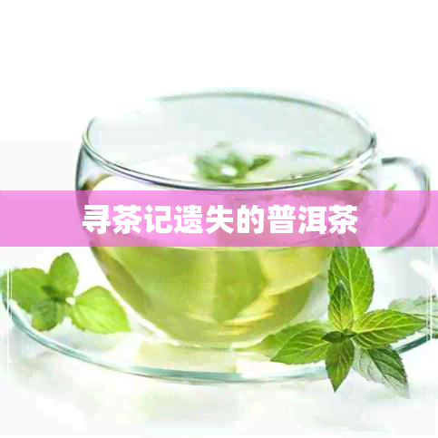 寻茶记遗失的普洱茶