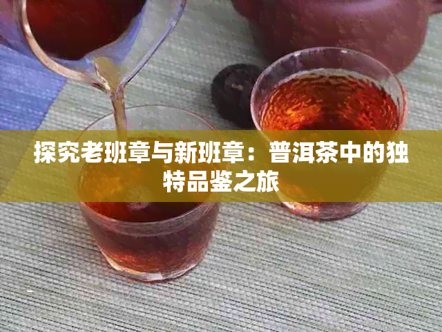 探究老班章与新班章：普洱茶中的独特品鉴之旅