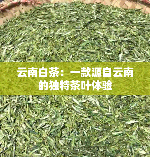 云南白茶：一款源自云南的独特茶叶体验