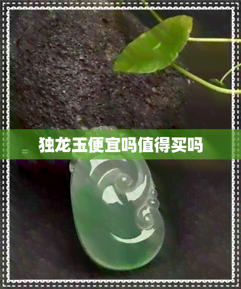 独龙玉便宜吗值得买吗