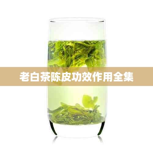 老白茶陈皮功效作用全集