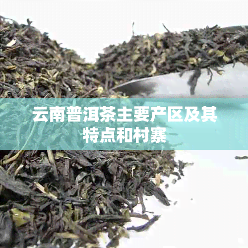 云南普洱茶主要产区及其特点和村寨