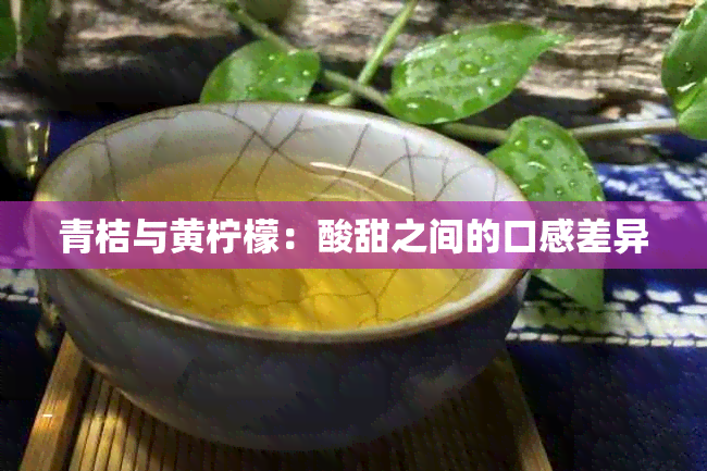 青桔与黄柠檬：酸甜之间的口感差异