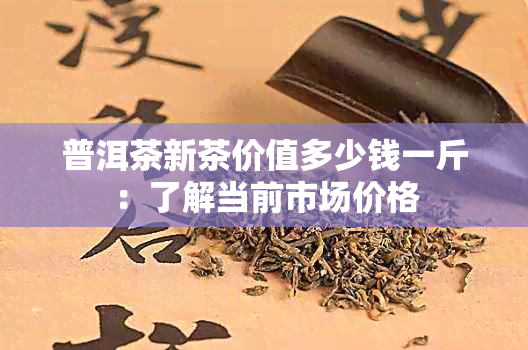 普洱茶新茶价值多少钱一斤：了解当前市场价格