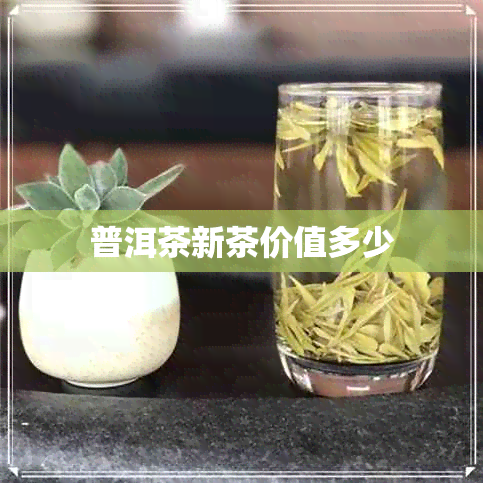 普洱茶新茶价值多少