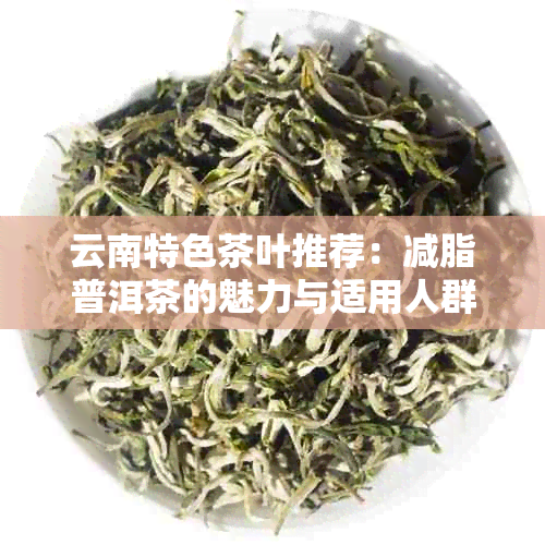 云南特色茶叶推荐：减脂普洱茶的魅力与适用人群