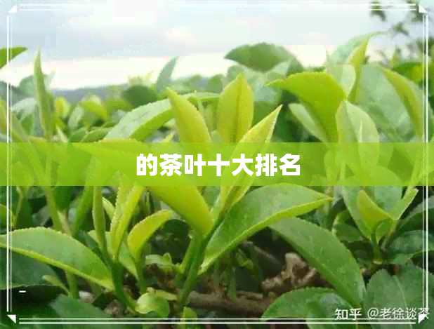 的茶叶十大排名