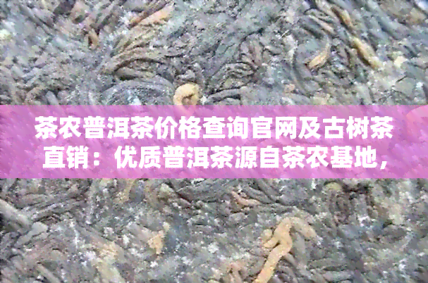 茶农普洱茶价格查询官网及古树茶直销：优质普洱茶源自茶农基地，品质越。