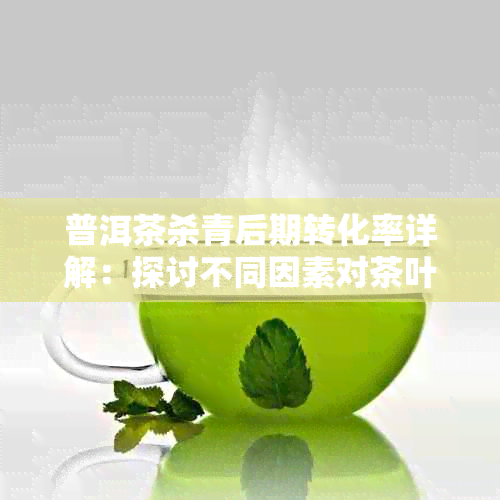 普洱茶杀青后期转化率详解：探讨不同因素对茶叶品质的影响及提升方法