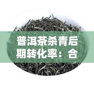 普洱茶杀青后期转化率：合适范围是多少？