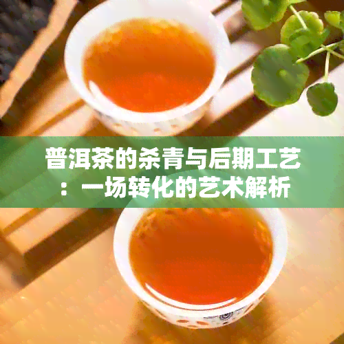 普洱茶的杀青与后期工艺：一场转化的艺术解析