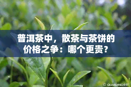 普洱茶中，散茶与茶饼的价格之争：哪个更贵？