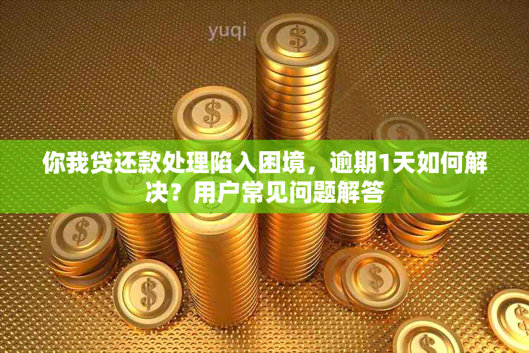 你我贷还款处理陷入困境，逾期1天如何解决？用户常见问题解答