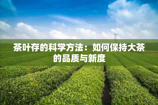 茶叶存的科学方法：如何保持大茶的品质与新度