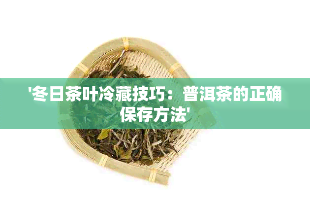 '冬日茶叶冷藏技巧：普洱茶的正确保存方法'