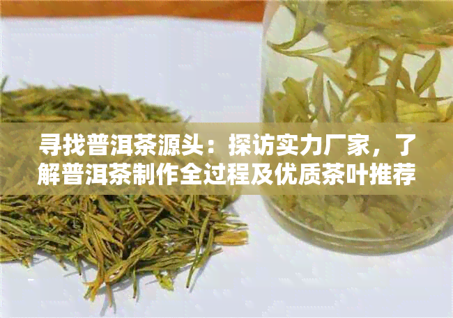 寻找普洱茶源头：探访实力厂家，了解普洱茶制作全过程及优质茶叶推荐