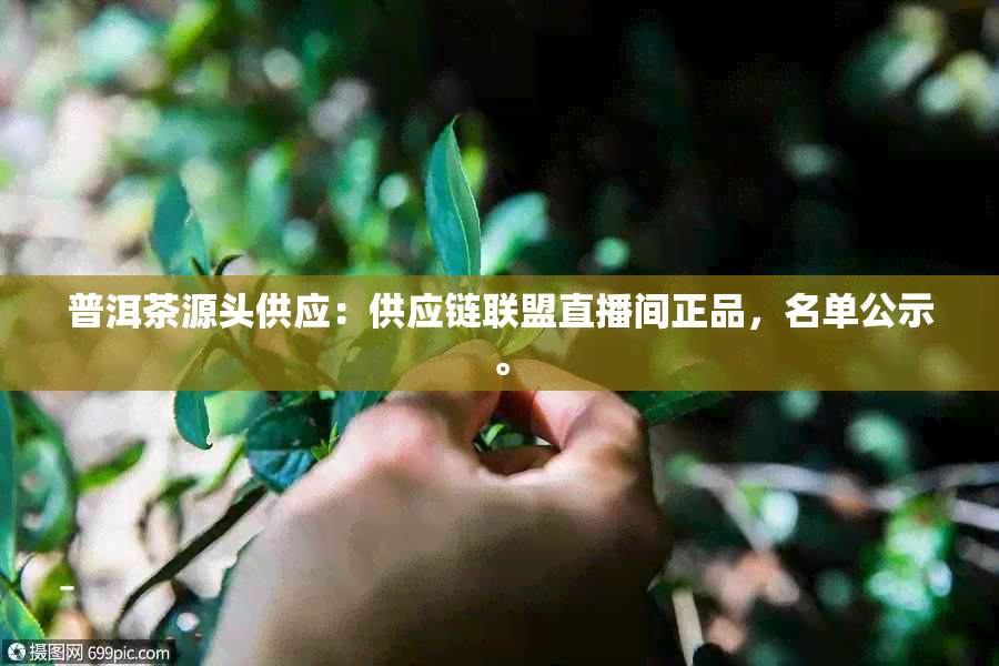 普洱茶源头供应：供应链联盟直播间正品，名单公示。