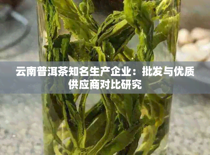 云南普洱茶知名生产企业：批发与优质供应商对比研究