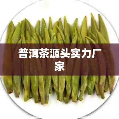 普洱茶源头实力厂家