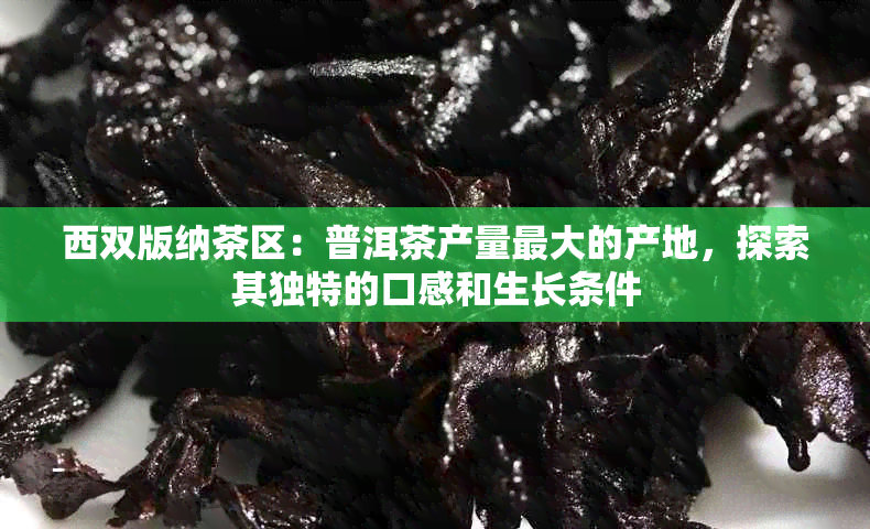 西双版纳茶区：普洱茶产量更大的产地，探索其独特的口感和生长条件