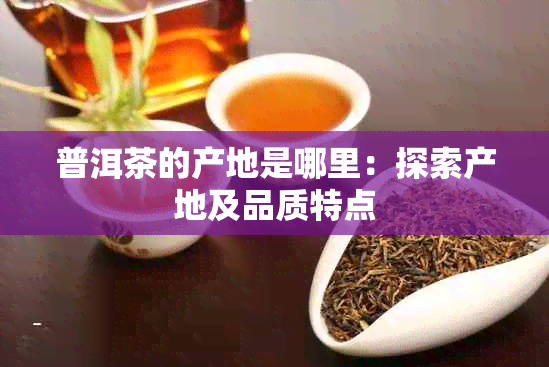 普洱茶的产地是哪里：探索产地及品质特点