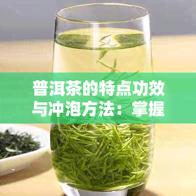 普洱茶的特点功效与冲泡方法：掌握这些技巧，享受茶香的魅力