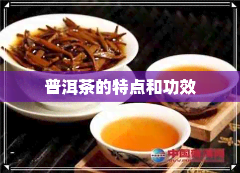 普洱茶的特点和功效