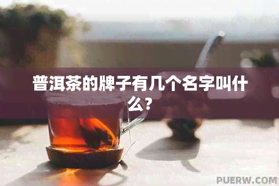 普洱茶的牌子有几个名字叫什么？