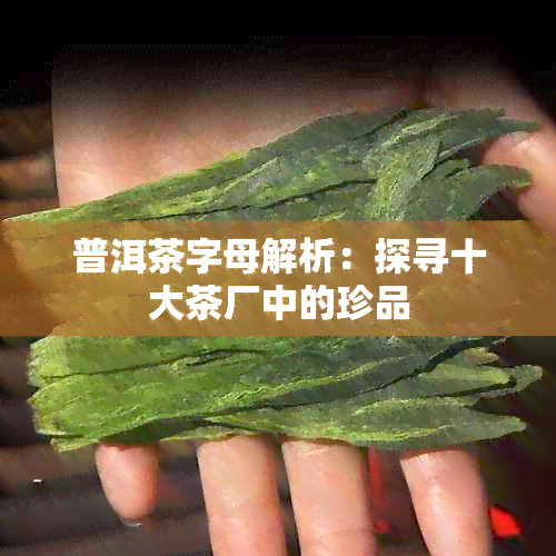 普洱茶字母解析：探寻十大茶厂中的珍品