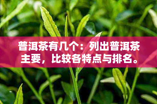 普洱茶有几个：列出普洱茶主要，比较各特点与排名。