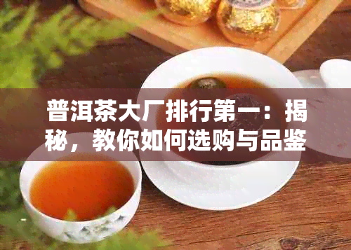 普洱茶大厂排行之一：揭秘，教你如何选购与品鉴普洱茶