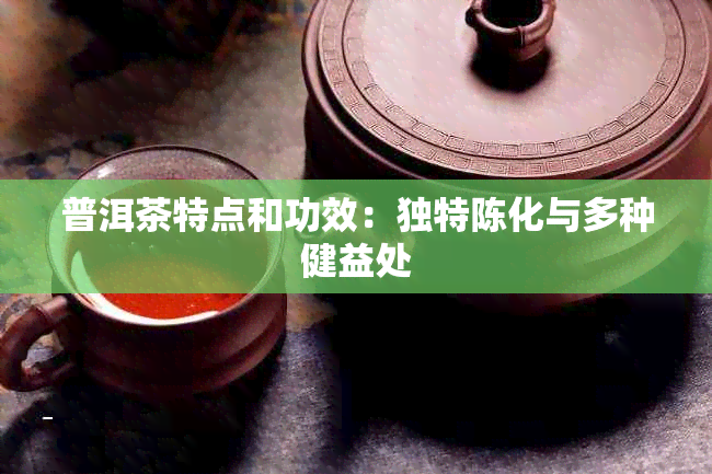 普洱茶特点和功效：独特陈化与多种健益处