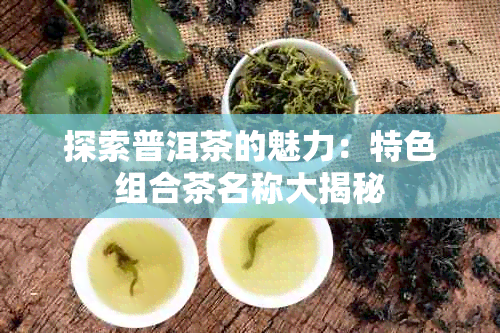 探索普洱茶的魅力：特色组合茶名称大揭秘