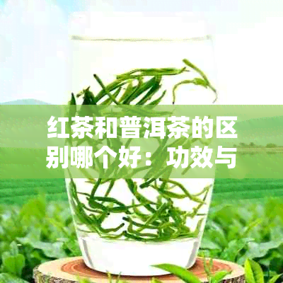 红茶和普洱茶的区别哪个好：功效与口感的较量