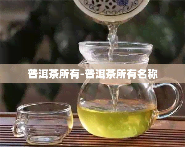 普洱茶所有-普洱茶所有名称