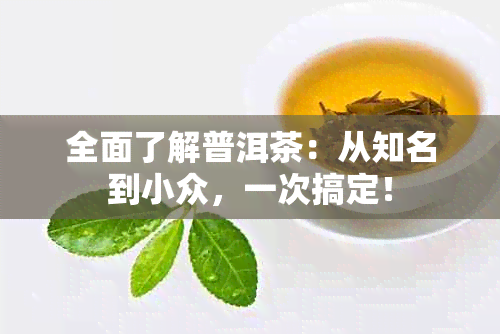 全面了解普洱茶：从知名到小众，一次搞定！