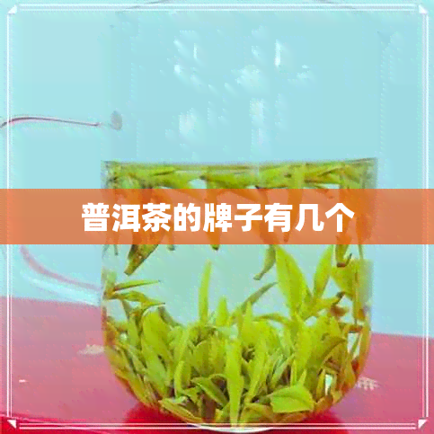 普洱茶的牌子有几个