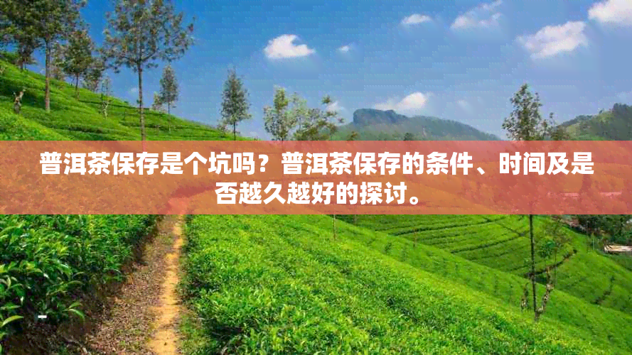 普洱茶保存是个坑吗？普洱茶保存的条件、时间及是否越久越好的探讨。