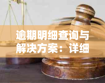 逾期明细查询与解决方案：详细了解您的欠款记录、影响和应对策略