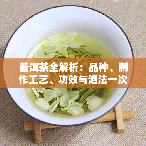 普洱茶全解析：品种、制作工艺、功效与泡法一次搞定