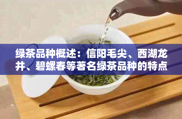 绿茶品种概述：信阳毛尖、西湖龙井、碧螺春等著名绿茶品种的特点与口感分析