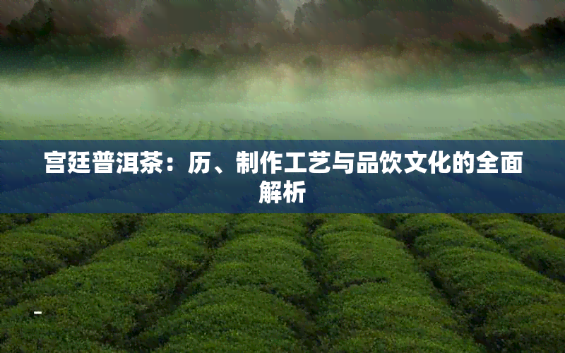 宫廷普洱茶：历、制作工艺与品饮文化的全面解析