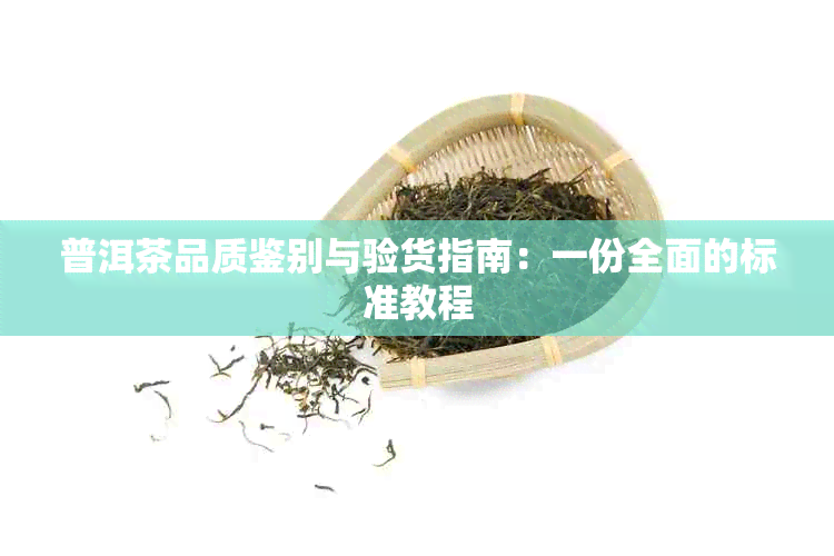 普洱茶品质鉴别与验货指南：一份全面的标准教程