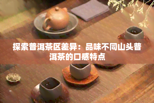 探索普洱茶区差异：品味不同山头普洱茶的口感特点