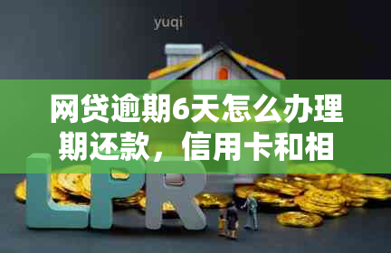 网贷逾期6天怎么办理期还款，信用卡和相关手续处理