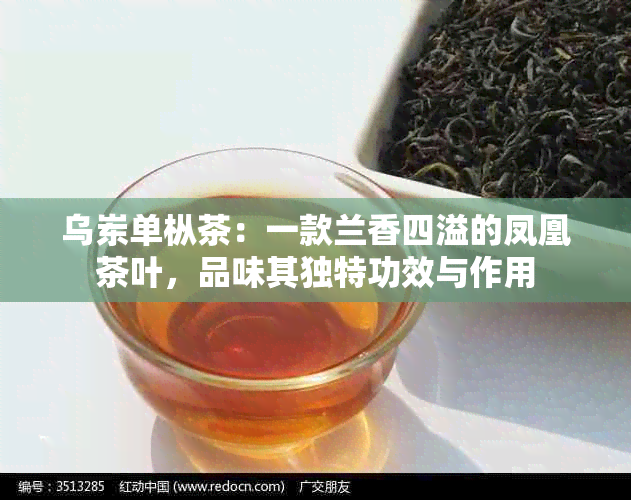 乌岽单枞茶：一款兰香四溢的凤凰茶叶，品味其独特功效与作用