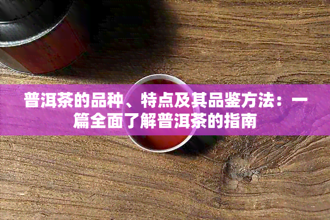 普洱茶的品种、特点及其品鉴方法：一篇全面了解普洱茶的指南