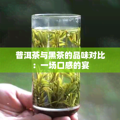 普洱茶与黑茶的品味对比：一场口感的宴