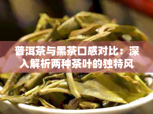 普洱茶与黑茶口感对比：深入解析两种茶叶的独特风味