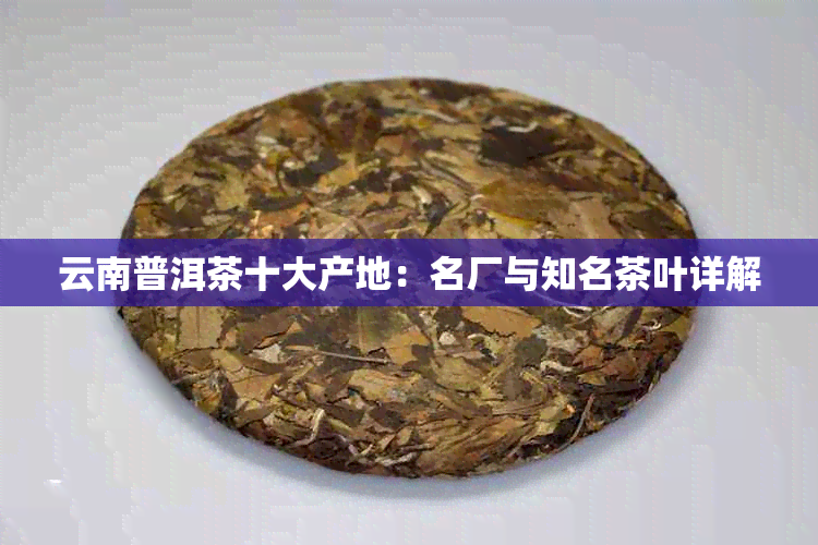 云南普洱茶十大产地：名厂与知名茶叶详解